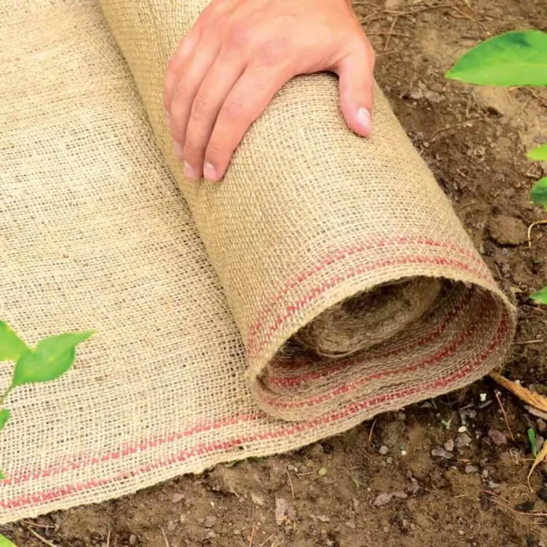 Burlapfabric Rollo de yute natural de 10 onzas de 100 yardas de 16 pulgadas  de ancho