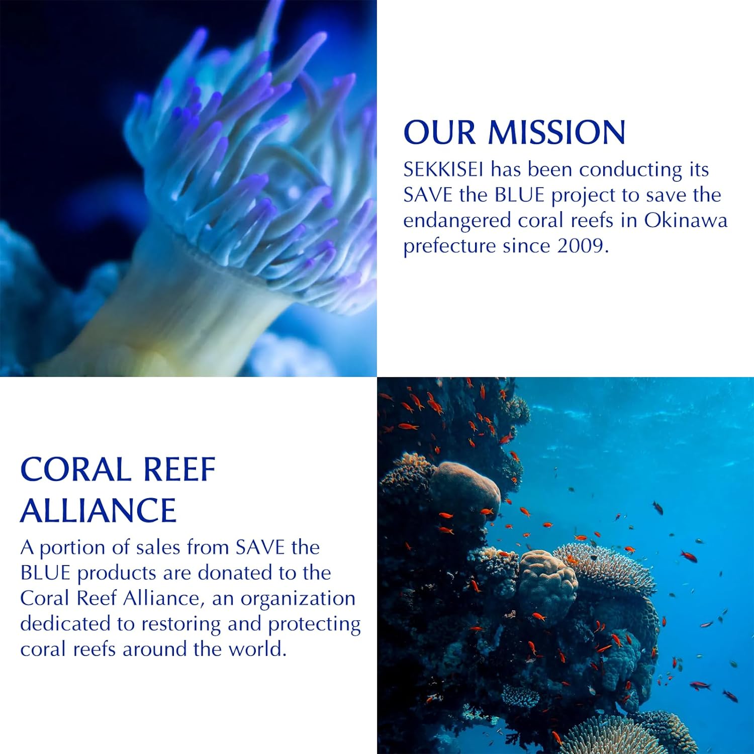 SEKKISEI Treatment Cleansing Oil, Facial Cleanser & Makeup Remover, 10.1 Ounce