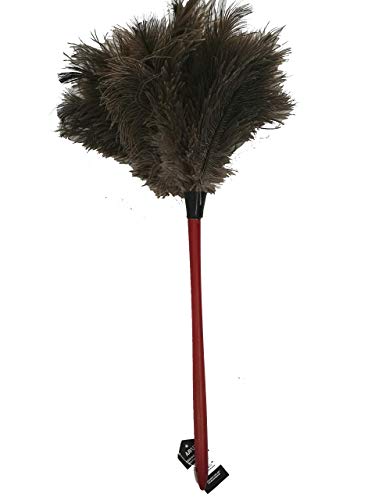 AAYU Premium Professional Feather Duster | Natural Household Duster for Feather Moping | Cleaning Accessories | Eco-Friendly Genuine Ostrich Feather with Wooden Handle | Reusable (Black)