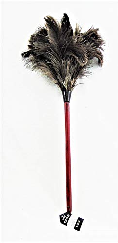 AAYU Brand Premium Professional Feather Duster | Natural Duster for Cleaning and Feather Moping | Genuine Ostrich Feather Duster with Wooden Handle | Eco-Friendly | Easy to Clean Dust (36 cm)