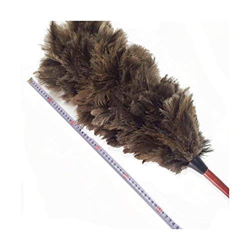 AAYU Brand Premium Ostrich Feather Duster Professional | Natural Duster for Cleaning and Feather Moping | Genuine Ostrich Feather Duster Long Wooden Handle | Eco-Friendly | Easy to Clean Dust 75 Cm