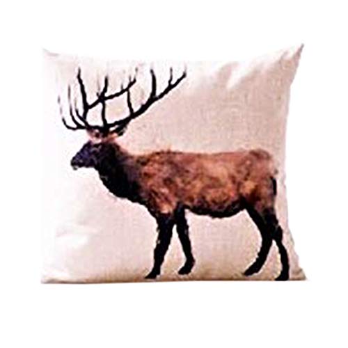 18 X 18 Inch | 45 X 45 cm | 2 Pieces Set | Decorative Pillow Cushion Covers