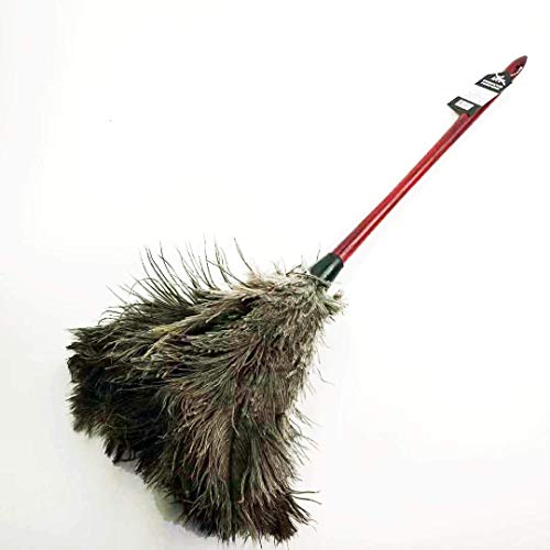 AAYU Premium Professional Feather Duster | Natural Household Duster for Feather Moping | Cleaning Accessories | Eco-Friendly Genuine Ostrich Feather with Wooden Handle | Reusable (Black)