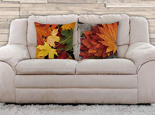 AAYU Leaf Print Decorative Throw Pillow Covers 20 Inch Square, Set of 2 Linen Cushion Case for Couch Sofa Bed Home Decor