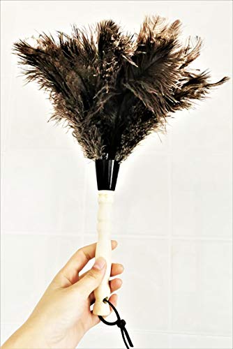 AAYU Premium Ostrich Feather Duster 40 cm | Natural Duster for Feather Moping and Cleaning Eco-Friendly, Genuine Ostrich with Wooden Handle Easy to Clean Reuse