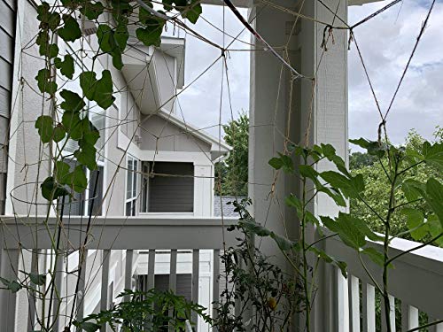 AAYU Natural Jute Twine 3Ply 500 Feet Jute Rope for Industrial, Packaging, Arts & Crafts, Gift Wrap, Decoration, Bundling, Gardening and Home