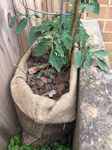 Burlap Bag - Large Potato Sack Race Bags