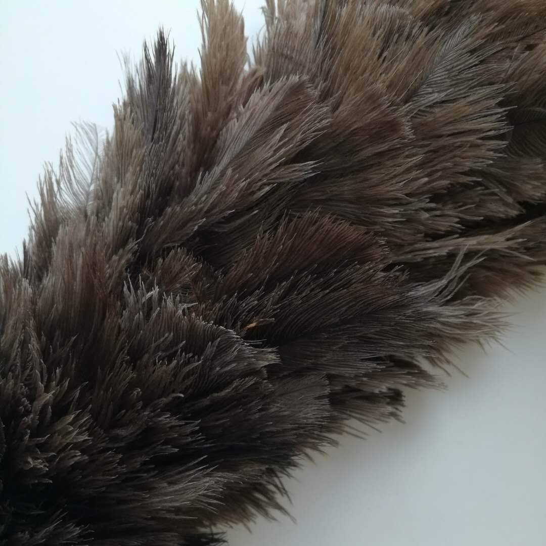 Feather Duster Professional