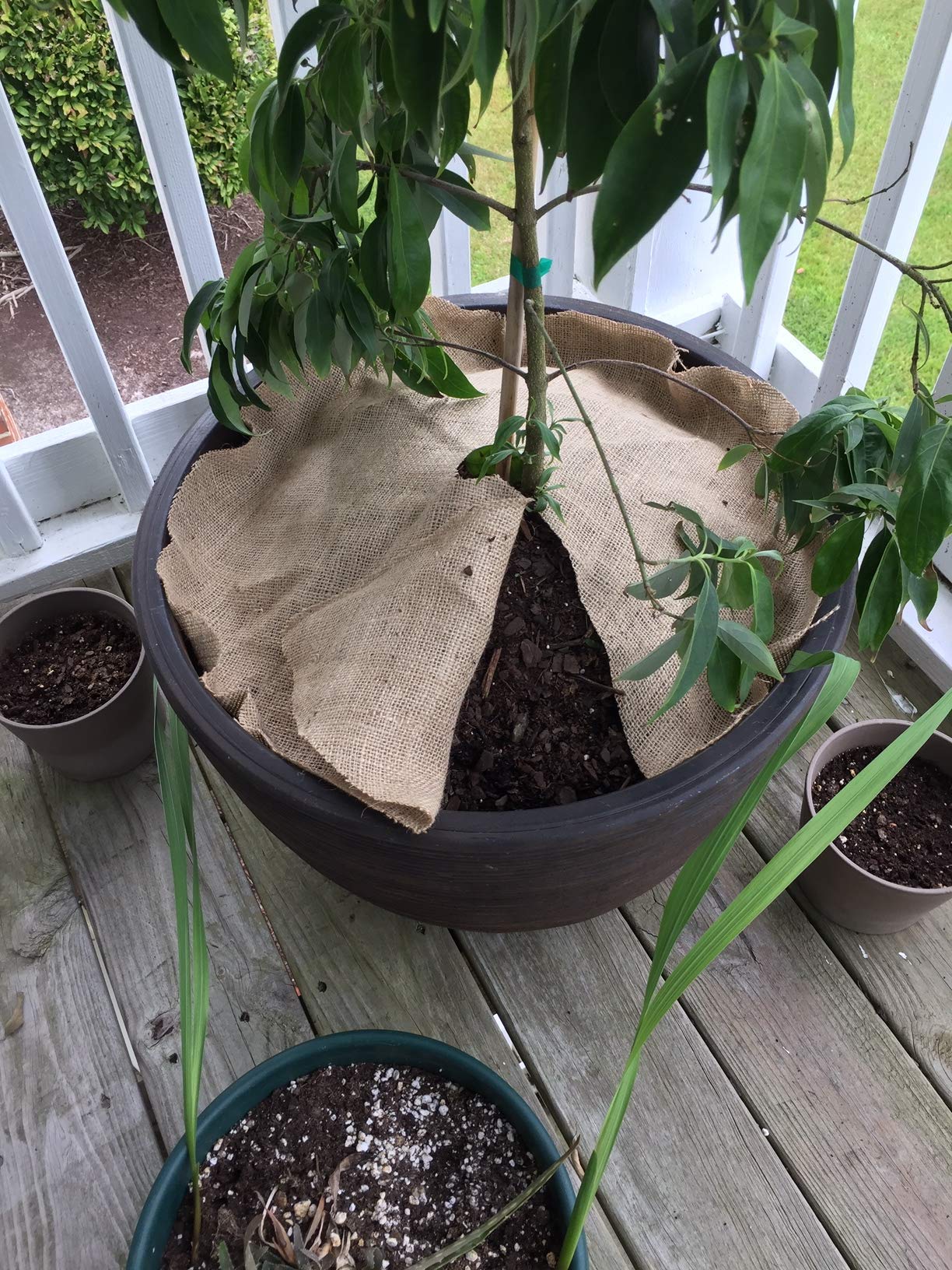 Multipurpose Jute Fabric Material for Garden