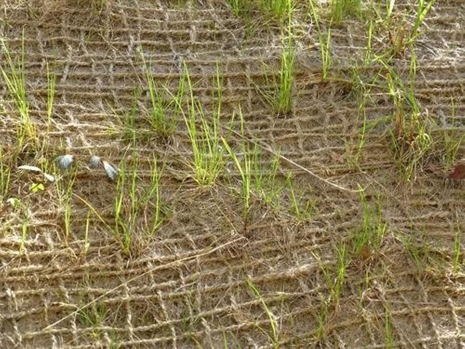 Natural Burlap Fabric, Burlap Fabric roll with Finished Edges