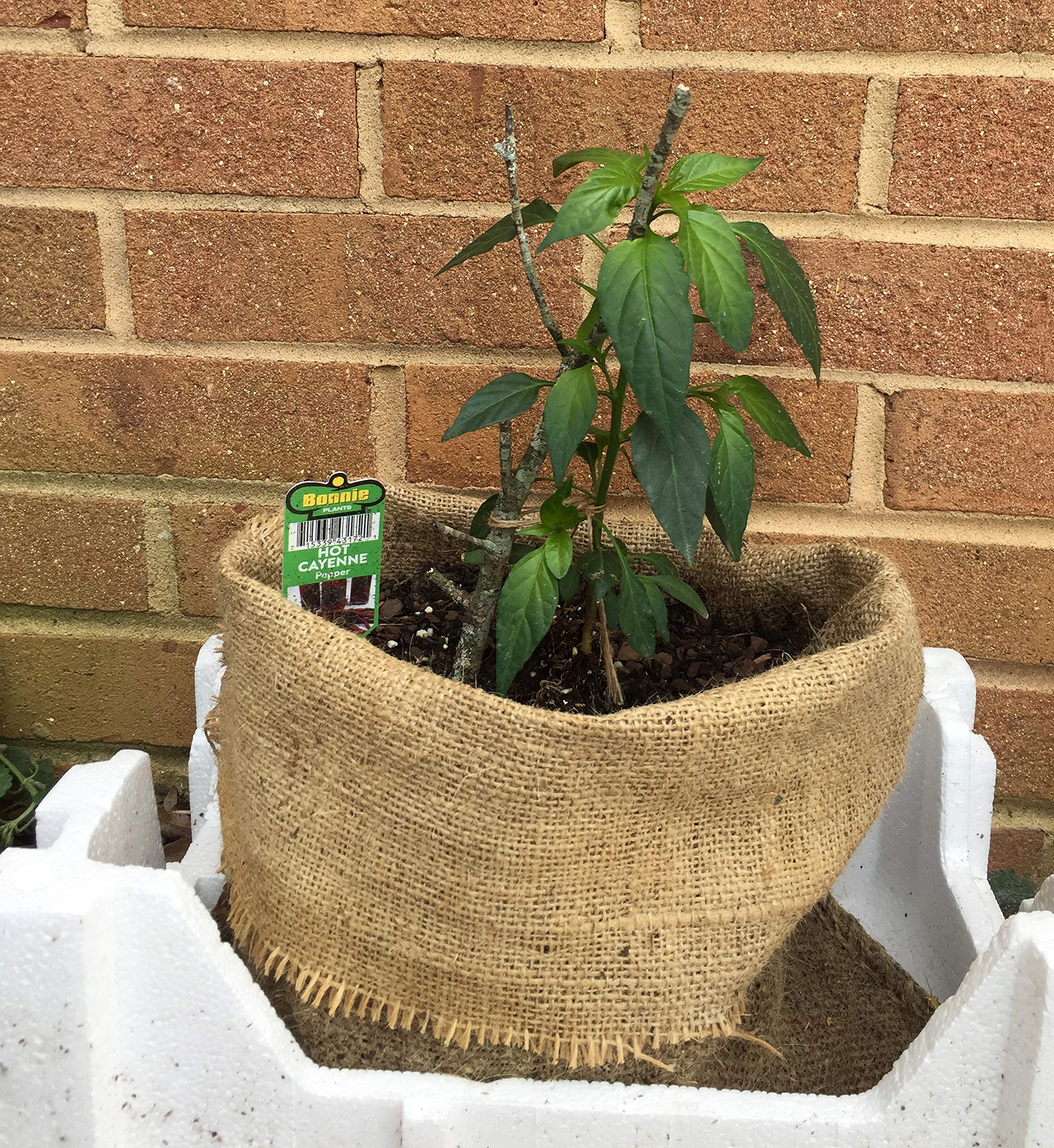 Burlap Bags for Coffee Bean Storage, Sundries, Crafting, and Rustic