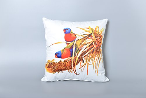 AAYU Parrot Square Pillow Covers | Velvet Base Soft Fabric | Trendy Pattern Both Side Printed | with Zipper | Pack of 4 | 18x18 inch Jutemill