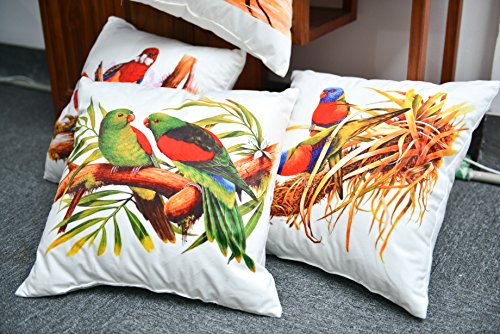 AAYU Parrot Square Pillow Covers | Velvet Base Soft Fabric | Trendy Pattern Both Side Printed | with Zipper | Pack of 4 | 18x18 inch Jutemill