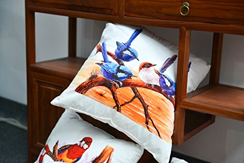 AAYU Parrot Square Pillow Covers | Velvet Base Soft Fabric | Trendy Pattern Both Side Printed | with Zipper | Pack of 4 | 18x18 inch Jutemill