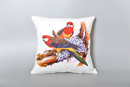 AAYU Parrot Square Pillow Covers | Velvet Base Soft Fabric | Trendy Pattern Both Side Printed | with Zipper | Pack of 4 | 18x18 inch Jutemill