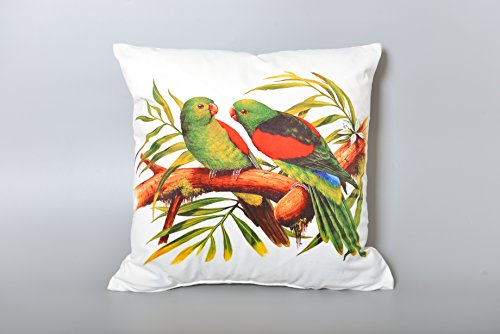 AAYU Parrot Square Pillow Covers | Velvet Base Soft Fabric | Trendy Pattern Both Side Printed | with Zipper | Pack of 4 | 18x18 inch Jutemill