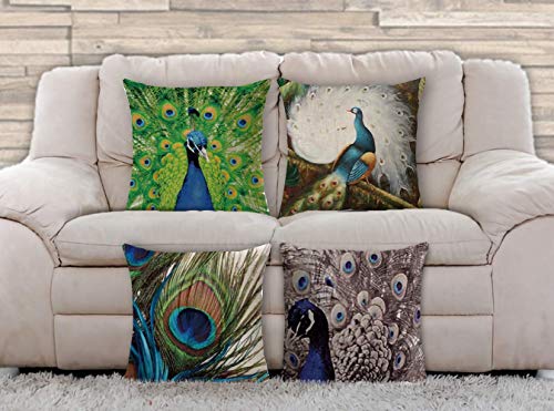 AAYU Peacock Design Throw Pillow Covers 4 18Inch Square 4Pieces Set Digital Printed Prime Quality Pillow Cases Both Sides Printed Jutemill