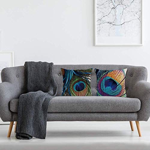 AAYU Peacock Feather Throw Pillow | 20 x 20-Inch |2 PCS Set Double Side HD Printing High GSM Fabric Square Cushion Case for Living Room or Bedroom Jutemill
