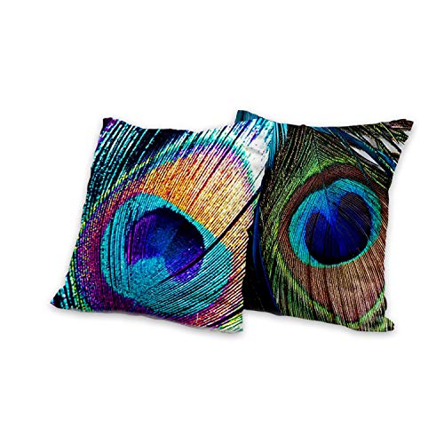 AAYU Peacock Feather Throw Pillow | 20 x 20-Inch |2 PCS Set Double Side HD Printing High GSM Fabric Square Cushion Case for Living Room or Bedroom Jutemill