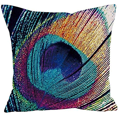 AAYU Peacock Feather Throw Pillow | 20 x 20-Inch |2 PCS Set Double Side HD Printing High GSM Fabric Square Cushion Case for Living Room or Bedroom Jutemill