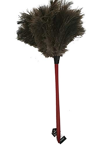 AAYU Premium 14.5&quot; Feather Duster for Home | Natural Duster for Cleaning and Feather Moping | Eco Friendly | Genuine Ostrich Feather Duster with Wooden Handle | Easy to Clean Dust and Reuse (36 cm) Jutemill 