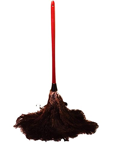 AAYU Premium 14.5&quot; Feather Duster for Home | Natural Duster for Cleaning and Feather Moping | Eco Friendly | Genuine Ostrich Feather Duster with Wooden Handle | Easy to Clean Dust and Reuse (36 cm) Jutemill 