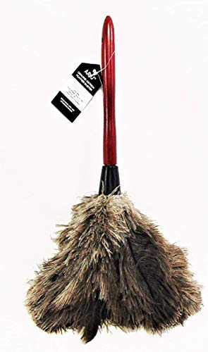 AAYU Premium 14.5&quot; Feather Duster for Home | Natural Duster for Cleaning and Feather Moping | Eco Friendly | Genuine Ostrich Feather Duster with Wooden Handle | Easy to Clean Dust and Reuse (36 cm) Jutemill 