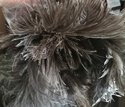 AAYU Premium 14.5" Feather Duster for Home | Natural Duster for Cleaning and Feather Moping | Eco Friendly | Genuine Ostrich Feather Duster with Wooden Handle | Easy to Clean Dust and Reuse (36 cm) Jutemill
