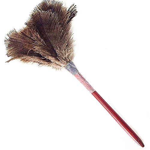 AAYU Premium 14.5" Feather Duster for Home | Natural Duster for Cleaning and Feather Moping | Eco Friendly | Genuine Ostrich Feather Duster with Wooden Handle | Easy to Clean Dust and Reuse (36 cm) Jutemill