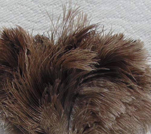 AAYU Premium 14.5" Feather Duster for Home | Natural Duster for Cleaning and Feather Moping | Eco Friendly | Genuine Ostrich Feather Duster with Wooden Handle | Easy to Clean Dust and Reuse (36 cm) Jutemill
