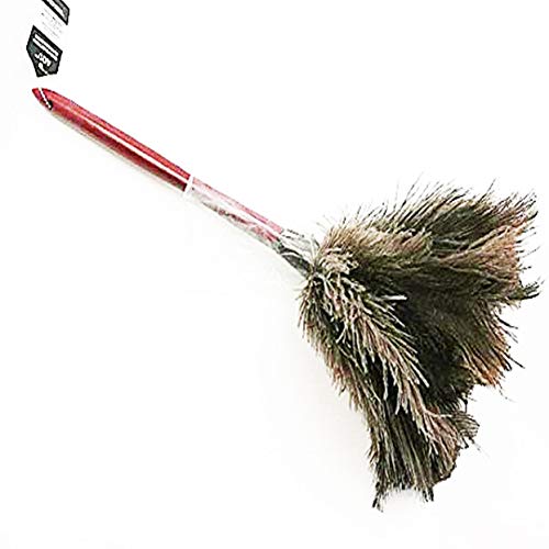 AAYU Premium 14.5&quot; Feather Duster for Home | Natural Duster for Cleaning and Feather Moping | Eco Friendly | Genuine Ostrich Feather Duster with Wooden Handle | Easy to Clean Dust and Reuse (36 cm) Jutemill 