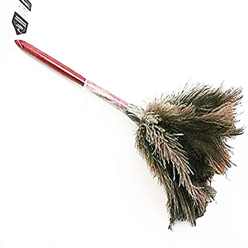 AAYU Premium 14.5" Feather Duster for Home | Natural Duster for Cleaning and Feather Moping | Eco Friendly | Genuine Ostrich Feather Duster with Wooden Handle | Easy to Clean Dust and Reuse (36 cm) Jutemill