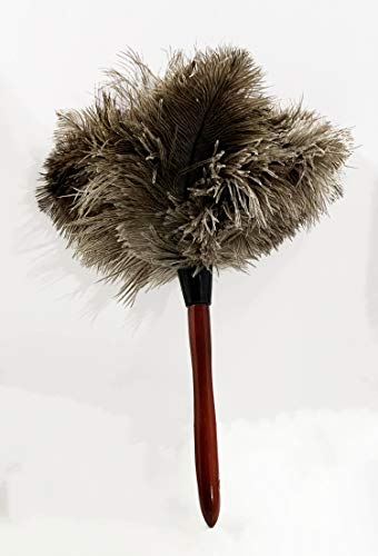 AAYU Premium 14.5&quot; Feather Duster for Home | Natural Duster for Cleaning and Feather Moping | Eco Friendly | Genuine Ostrich Feather Duster with Wooden Handle | Easy to Clean Dust and Reuse (36 cm) Jutemill 