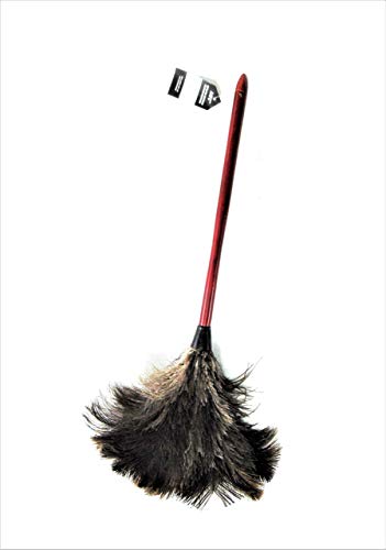 AAYU Premium 14.5" Feather Duster for Home | Natural Duster for Cleaning and Feather Moping | Eco Friendly | Genuine Ostrich Feather Duster with Wooden Handle | Easy to Clean Dust and Reuse (36 cm) Jutemill