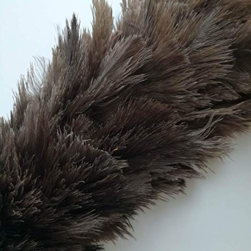 Feather Duster, 24-26 inches Made by Soft Ostrich Feathers. Wooden Handle Great for Cleaning Home, car and Office Jutemill
