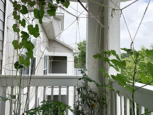 Natural Thick 3mm Jute Twine Large Ball by AAYU | 3 Ply 400 Feet | Jute Rope for DIY Crafts, Gift Wrapping, Rustic Decor Jutemill