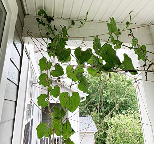 Natural Thick 3mm Jute Twine Large Ball by AAYU | 3 Ply 400 Feet | Jute Rope for DIY Crafts, Gift Wrapping, Rustic Decor Jutemill