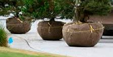 Burlap Planter Liner | AAYU Burlap Liner For Hanging Planter | Jute Burlap Gardening Liner | Premium Burlap Liners