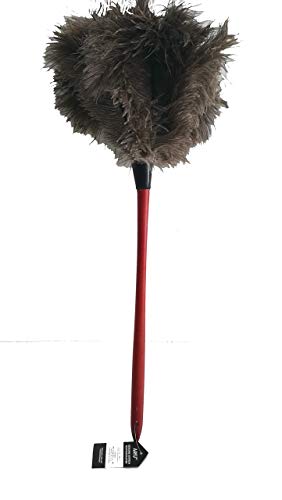 AAYU Premium Professional Feather Duster | Natural Household Duster for Feather Moping | Cleaning Accessories | Eco-Friendly Genuine Ostrich Feather with Wooden Handle | Reusable (Black)