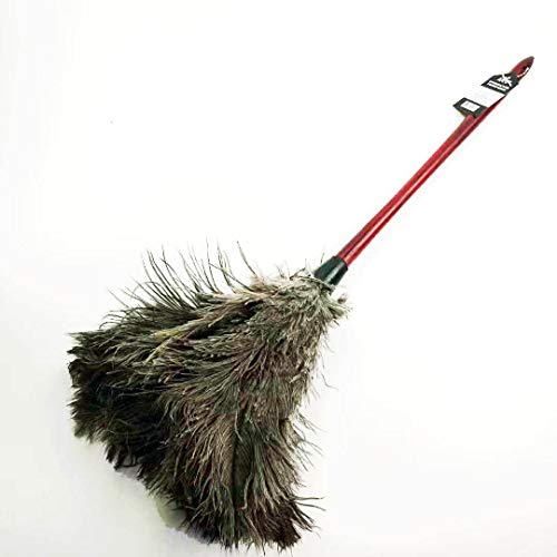 AAYU Premium Professional Feather Duster | Natural Handheld Duster for Cleaning and Feather Moping | Genuine Ostrich Feather Duster with Long Wooden Handle | Eco-Friendly | Reusable (50 cm)