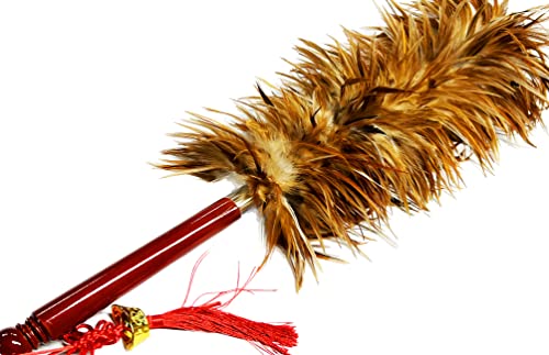 Rooster Chicken Feather Duster by AAYU | House Cleaning Car Cleaning | Brush for Dust | Dusters to Clean Home | Feather Duster with Genuine Wooden Handle | Eco-Friendly Easy to Clean Dust | 68 Cm