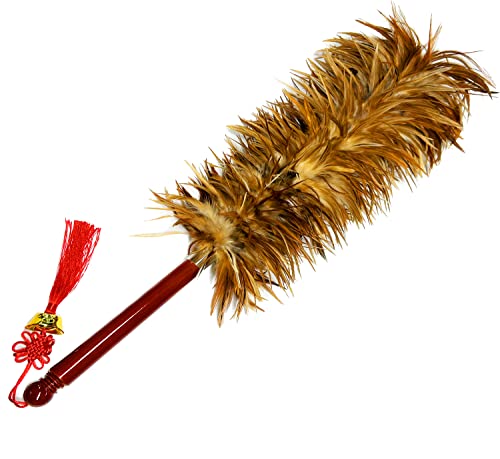 Rooster Chicken Feather Duster by AAYU | House Cleaning Car Cleaning | Brush for Dust | Dusters to Clean Home | Feather Duster with Genuine Wooden Handle | Eco-Friendly Easy to Clean Dust | 68 Cm