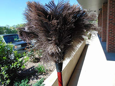 AAYU Brand Premium Professional Feather Duster | Natural Duster for Cleaning and Feather Moping | Genuine Ostrich Feather Duster with Wooden Handle | Eco-Friendly | Easy to Clean Dust (36 cm)