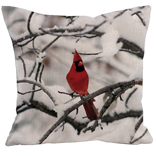 AAYU Decorative Large Pillow Covers Bird | Double Side HD Printing | High GSM Fabric | Square Throw Pillow Cushion Case for Living Room Sofa Couch Bedroom Car | 20 x 20 Inch 50 x 50 cm | Set of 4