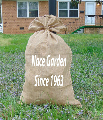 Burlap Bag - Large Potato Sack Race Bags