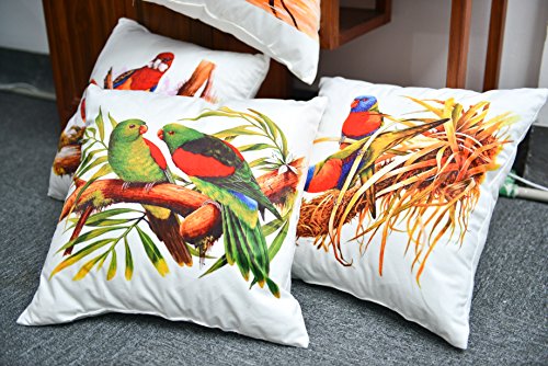 AAYU Parrot Square Pillow Covers | Velvet Base Soft Fabric | Trendy Pattern Both Side Printed | with Zipper | Pack of 4 | 18x18 inch Jutemill 