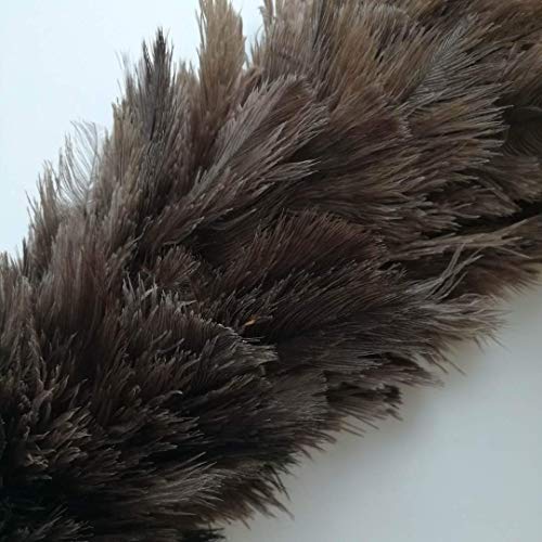 Feather Duster, 24-26 inches Made by Soft Ostrich Feathers. Wooden Handle Great for Cleaning Home, car and Office Jutemill 
